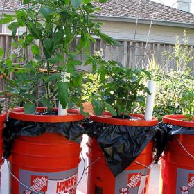 The Dearthbox: A low-cost, self-watering planter