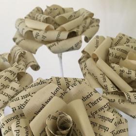 Book Page Roses