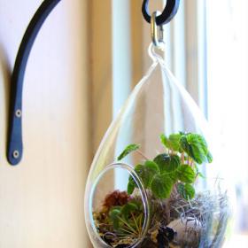 DIY Terrarium